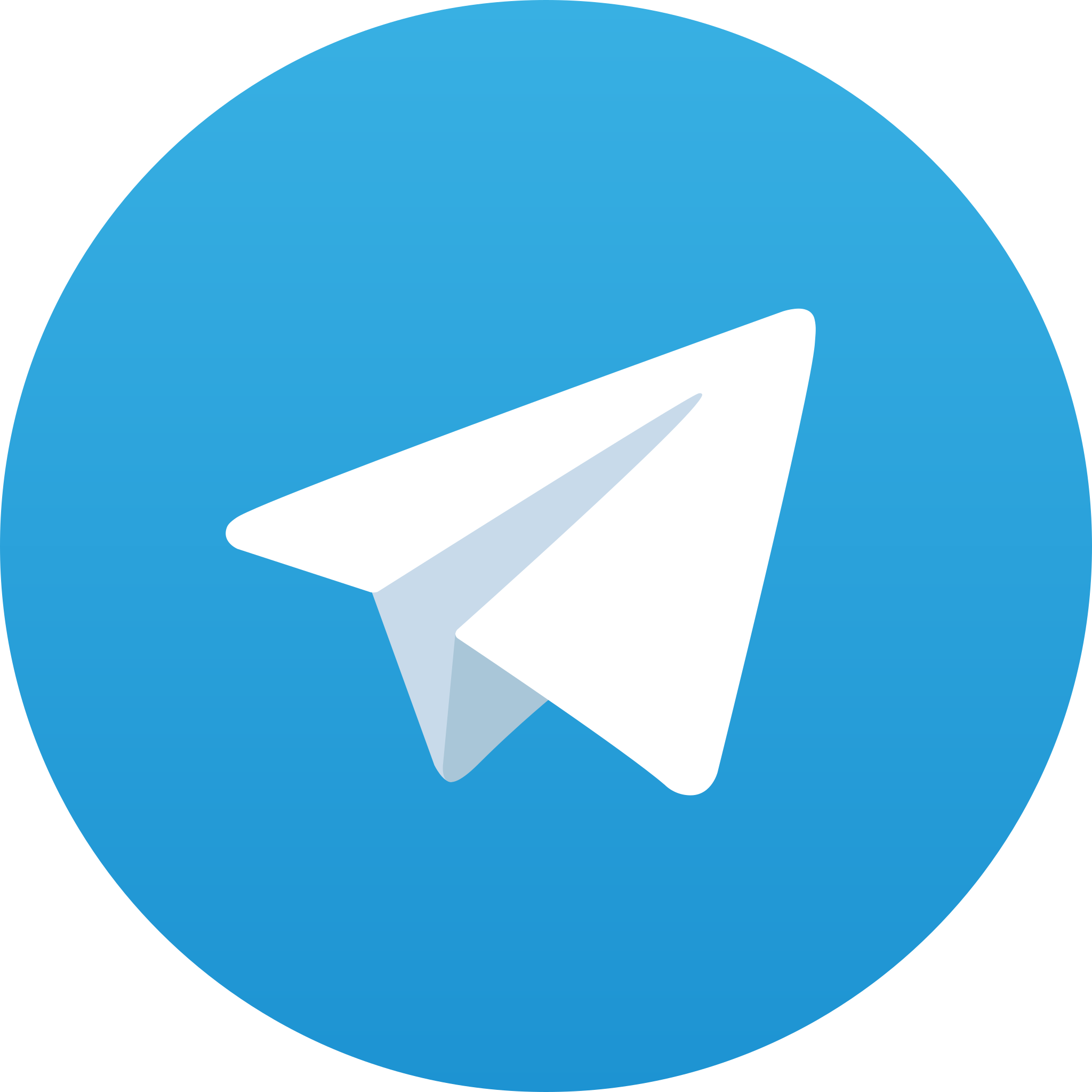 telegram surga group